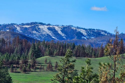 000 State Highway 21, Keller, WA, 99140 | Card Image