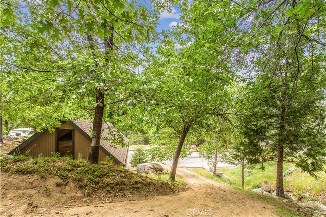 top of the tree lined driveway, facing the garage. | Image 34