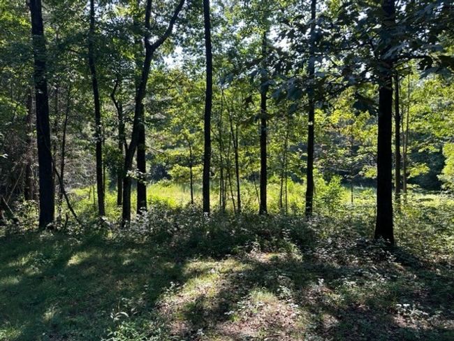 1444 Sugar Creek Rd, House other with 2 bedrooms, 2 bathrooms and null parking in Crandall GA | Image 16