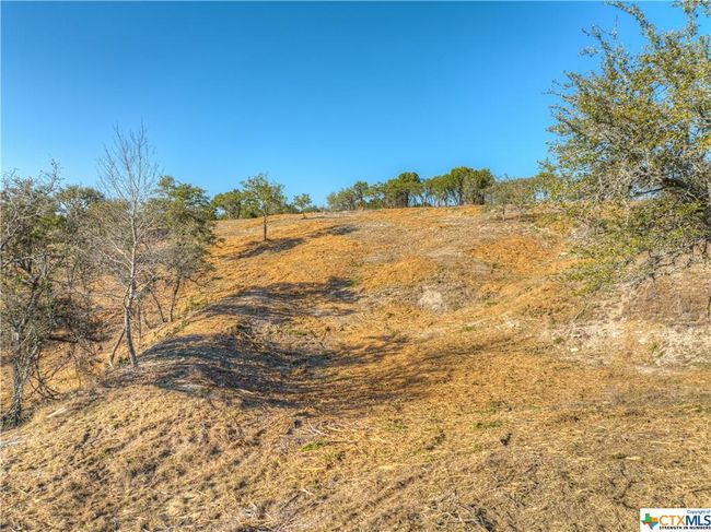 0 Zinnia/Star Grass, Home with 0 bedrooms, 0 bathrooms and null parking in Spring Branch TX | Image 21