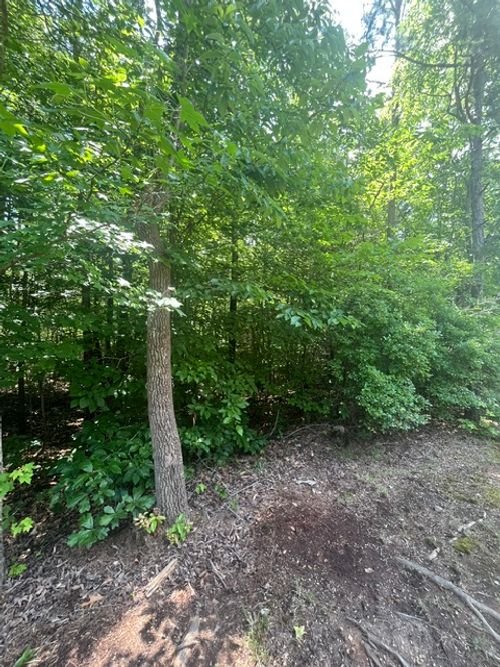 0 Point Rd, Westminster, SC, 29693 | Card Image