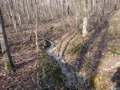 4960 Newburg Rd, Haleyville, AL, 35565-6615 | Card Image