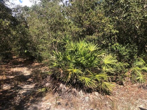 0 Oregon St, Interlachen, FL, 32148 | Card Image