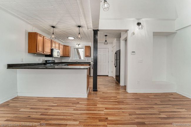 APT-2 - 8820 Joseph Campau St, Condo with 2 bedrooms, 2 bathrooms and null parking in Hamtramck MI | Image 5