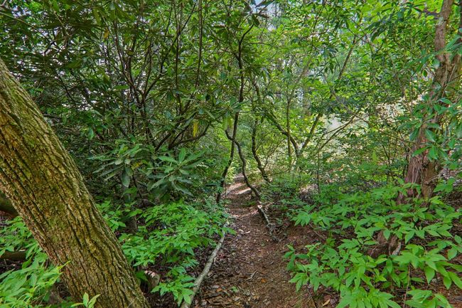 219 Hiwassee Rd, House other with 3 bedrooms, 4 bathrooms and null parking in Lake Toxaway NC | Image 48
