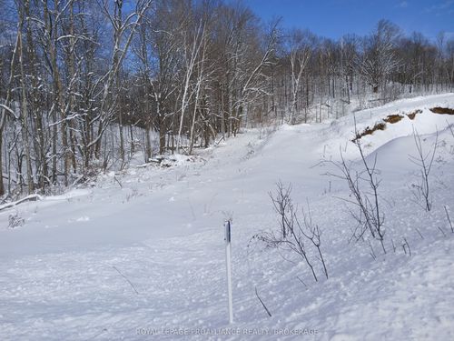 406 Crozier Rd, Westport, ON, K0G1X0 | Card Image