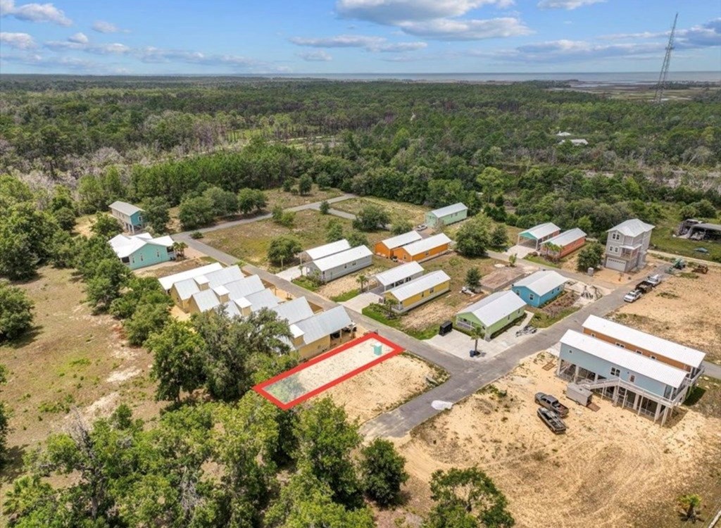 Land in Steinhatchee 3