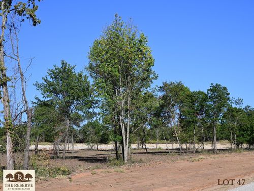 Lot 47 Colt Rd, Springtown, TX, 76082 | Card Image