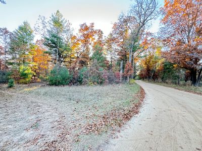 4.98ac E 58th Street, Home with 0 bedrooms, 0 bathrooms and null parking in Newaygo MI | Image 1