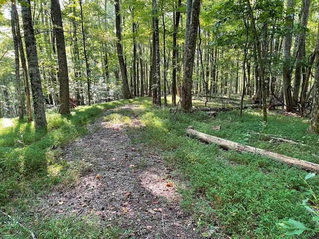 76 Tally Cove Rd, Home with 0 bedrooms, 0 bathrooms and null parking in Jasper GA | Image 5