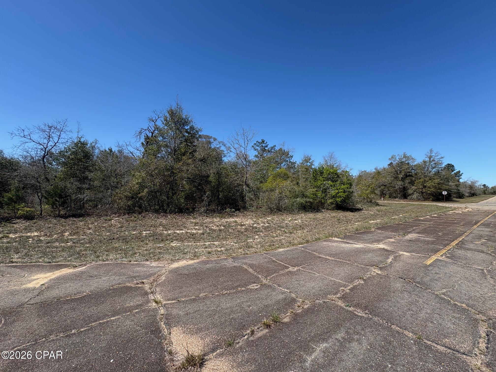 Land in Chipley 4