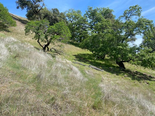 19010 Hulbert Rd, Home with 0 bedrooms, 0 bathrooms and null parking in Yorkville CA | Image 25
