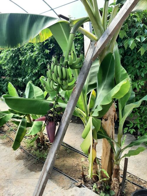 791 Clear Lake Rd, Arnstein, ON, P0H1A0 | Card Image