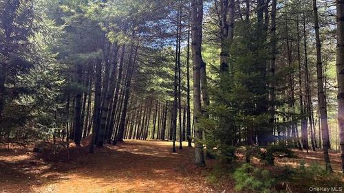 Lot 12 White Road, Lumberland, NY, 12737 | Card Image
