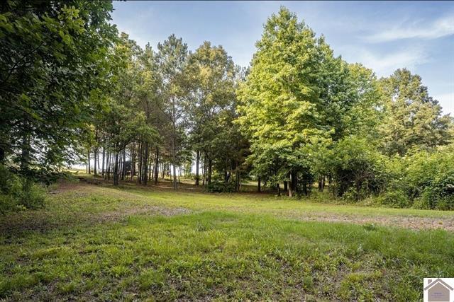 Land in Benton 2
