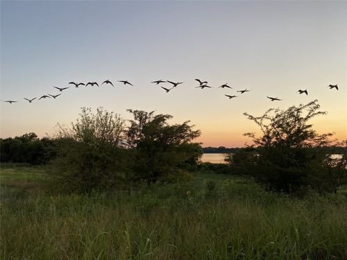 2185 Olivereta Dr, Little Elm, TX, 75068-1340 | Card Image