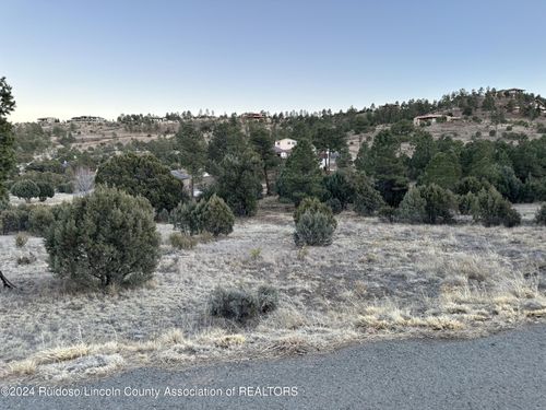 110 Antler Drive, Alto, NM, 88312 | Card Image