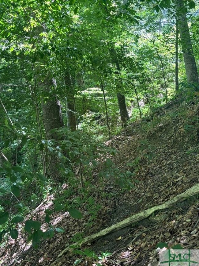 Some of the topography | Image 23