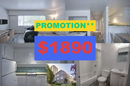 109-1540 Haro St, Vancouver, BC, V6G1G5 | Card Image