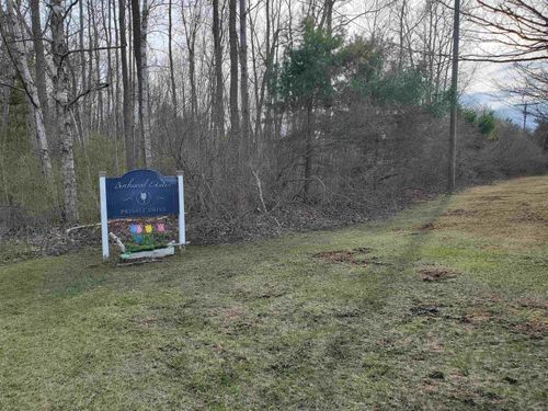 TBD #2 Birch Drive, Lexington Village, MI, 48450 | Card Image