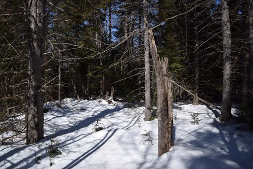 Lot 141 Presidential Dr, Washington, NH, 03280 | Card Image