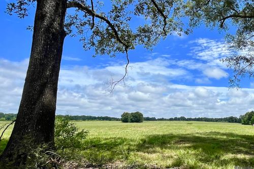 04 Hokaday Rd, Slaughter, LA, 70777 | Card Image