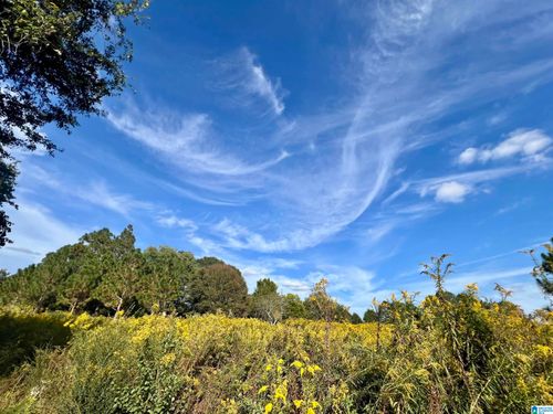 0-0 County Road 504, Graham, AL, 36263 | Card Image