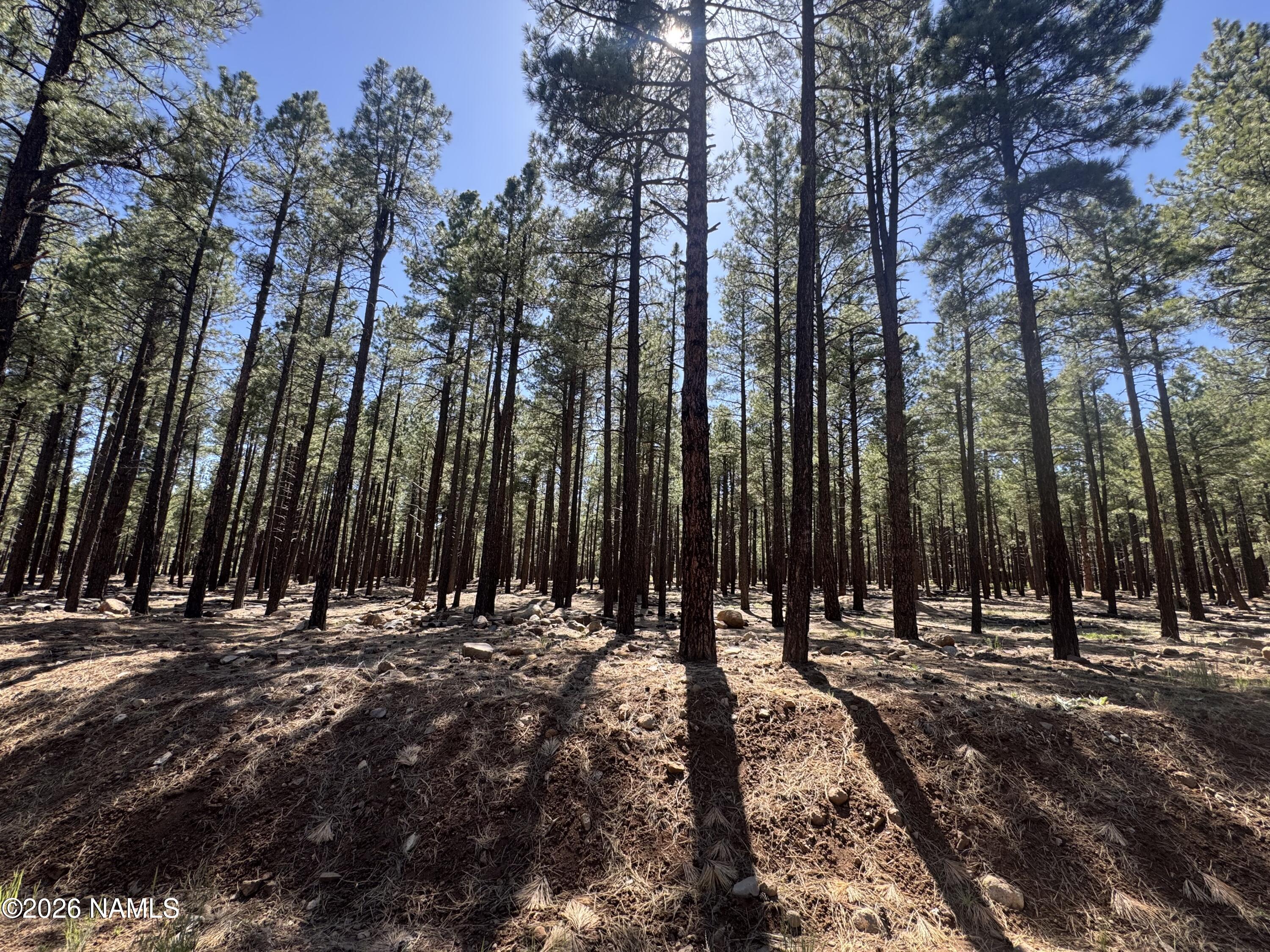 Land in Flagstaff 2