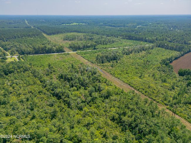 949 General Howe Hwy Road, Home with 0 bedrooms, 0 bathrooms and null parking in Riegelwood NC | Image 10