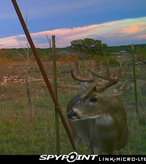 3402 County Road 196, Blackwell, TX, 79506-1200 | Card Image