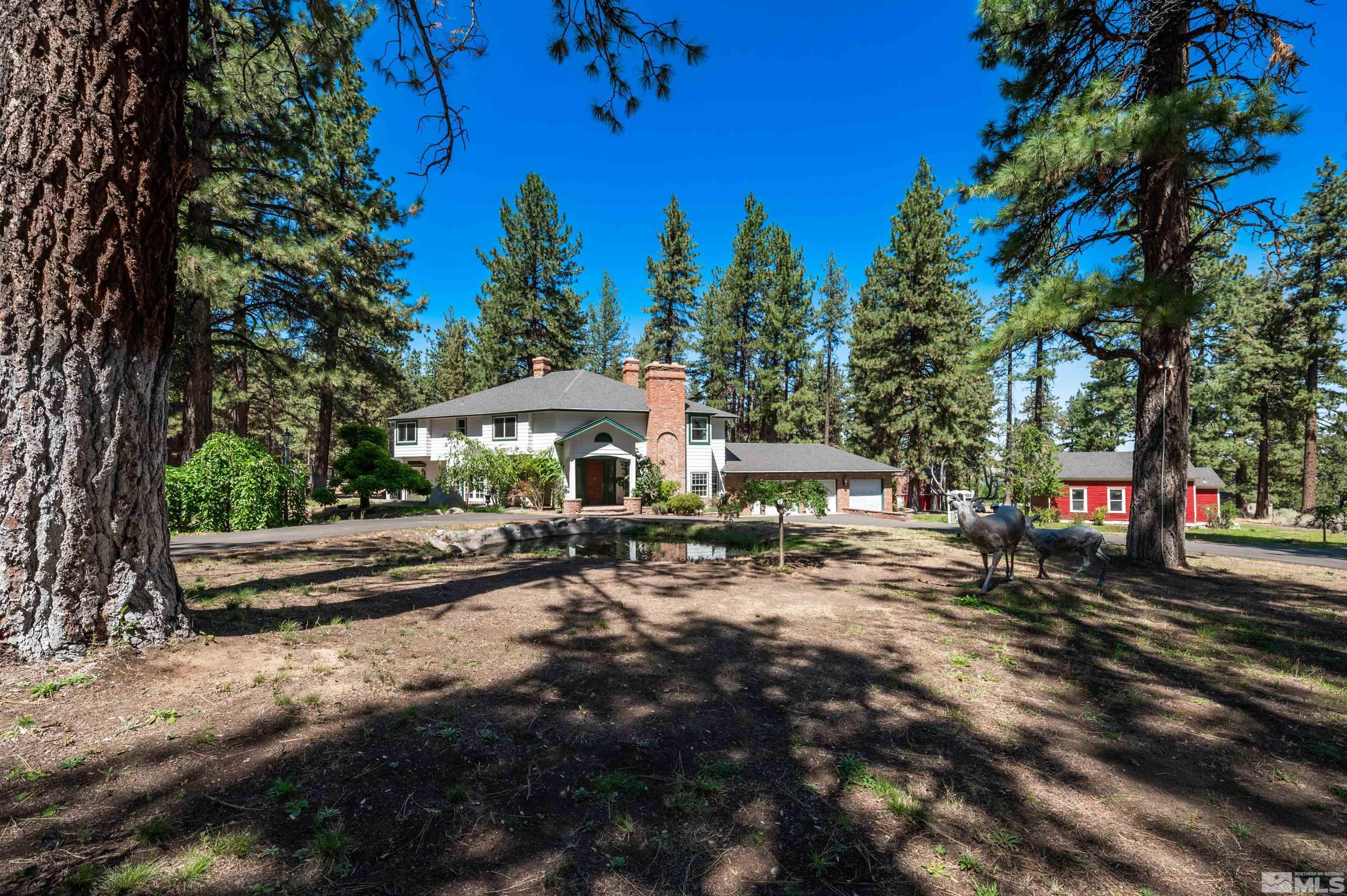 Franktown Rd, Washoe Valley, NV 89704