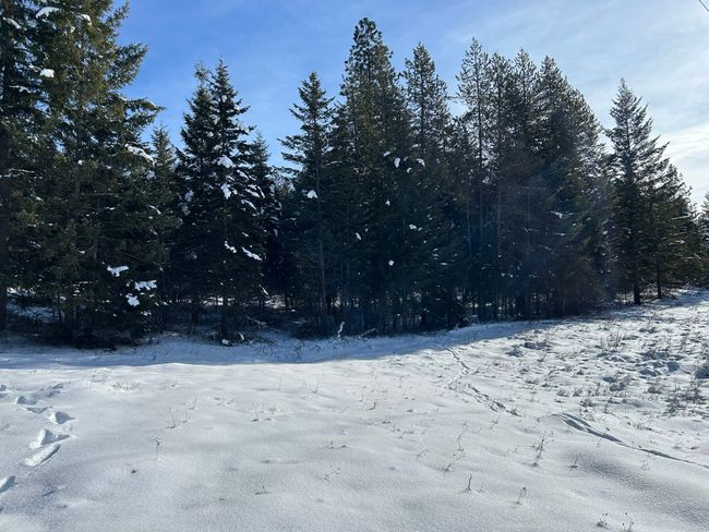5 Red Fir Ln, Home with 0 bedrooms, 0 bathrooms and null parking in Noxon MT | Image 34