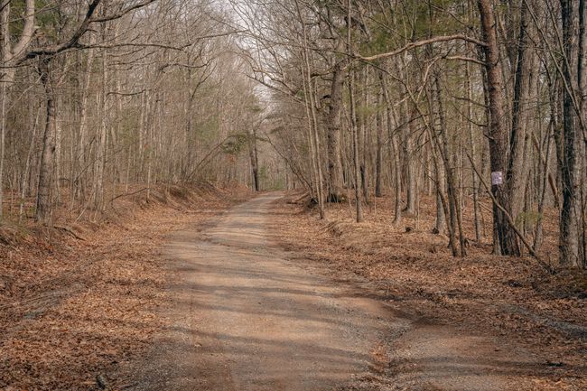 McMillan pic 5 | Image 11