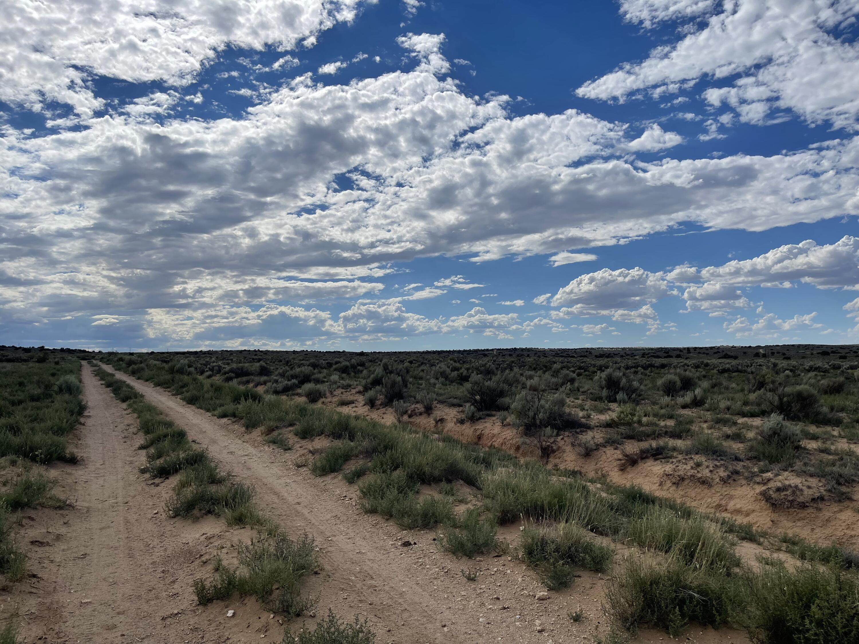 Land in Rio Rancho 2