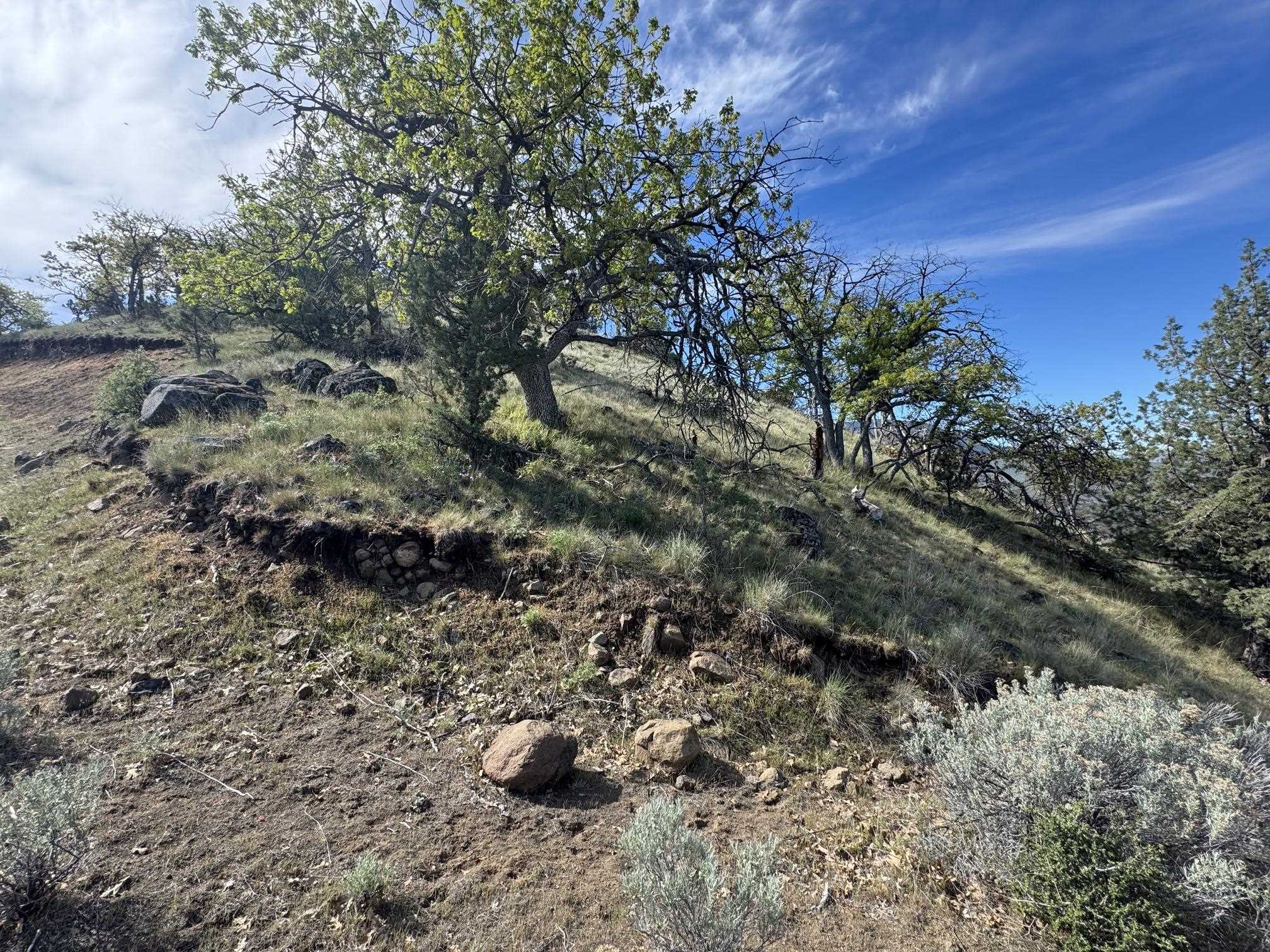 Land in Montague 3