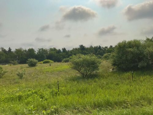 Lot G Buckhorn Road, Three Rivers, MI, 49093 | Card Image