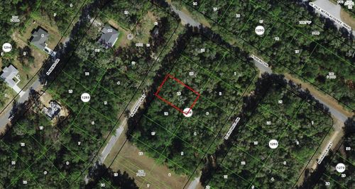 10063 N Bamboo Way, CITRUS SPRINGS, FL, 34434 | Card Image