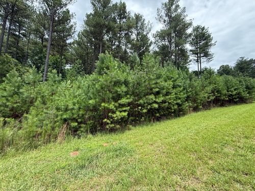 LOT 174 The Stables Loop, Blairsville, GA, 30512 | Card Image