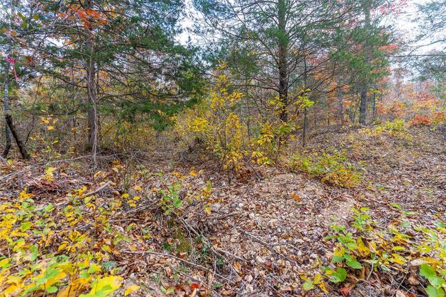 5 - 0 Highway Jj, Home with 0 bedrooms, 0 bathrooms and null parking in Marquand MO | Image 26