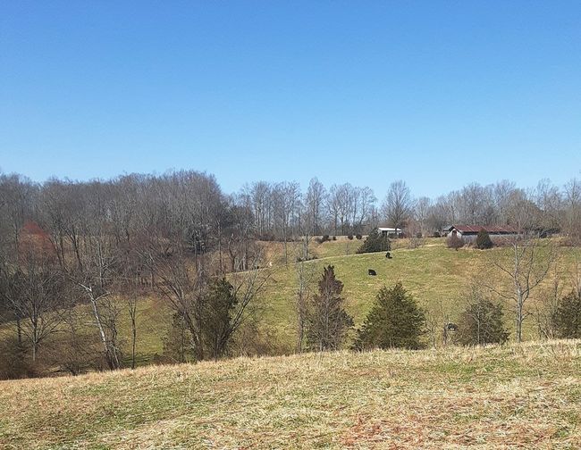 33.64 ac Davis Rd, Home with 0 bedrooms, 0 bathrooms and null parking in Livingston TN | Image 6