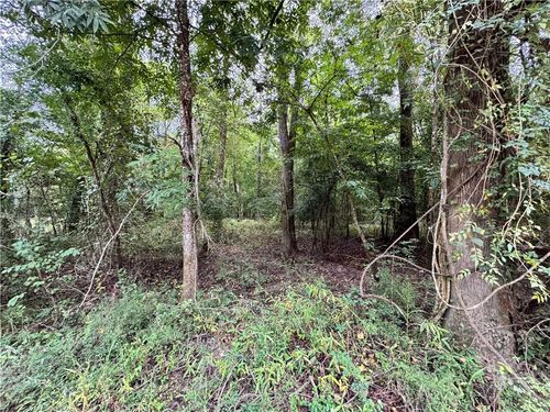 Lot 18 Pushepatappa Cut Off Road, Bogalusa, LA, 70427 | Card Image