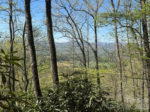33-33 Reserve Rd, Pisgah Forest, NC, 28768 | Card Image