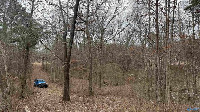 3.6 Acres Hough Rd, Home with 0 bedrooms, 0 bathrooms and null parking in Laceys Spring AL | Image 8