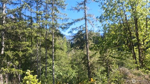 735 Carr Rd, Randle, WA, 98377-0049 | Card Image