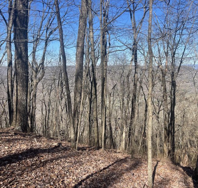 80 High Point Ln, Home with 0 bedrooms, 0 bathrooms and null parking in Jasper TN | Image 124