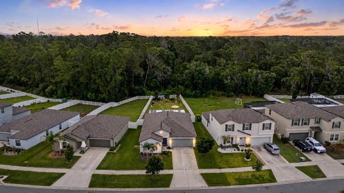 13411 Willow Bluestar Loop, RIVERVIEW, FL, 33579-6607 | Card Image