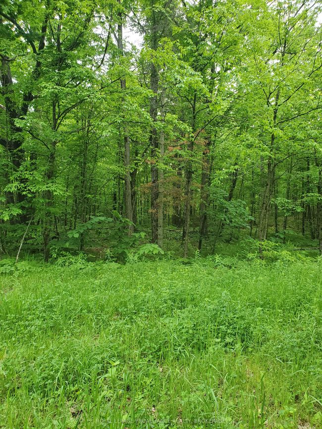 1891 Mountain Rd, Home with 0 bedrooms, 0 bathrooms and null parking in Tamworth ON | Image 5