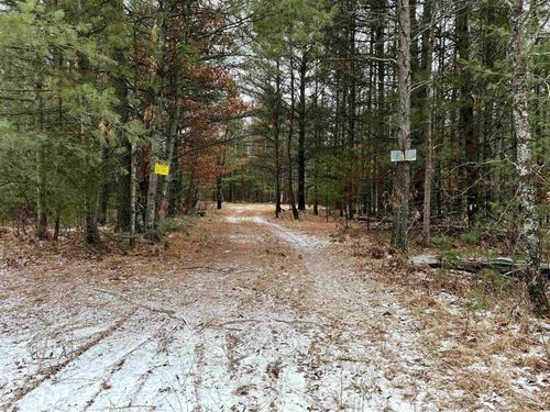 VL Cabin Lake Road, Mills Township, MI, 48661 | Card Image