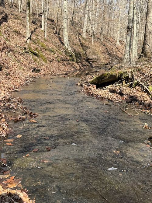 0 Old 96, Franklin, TN, 37064 | Card Image