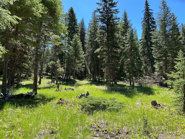 1720 Coon Hollow Rd, Home with 0 bedrooms, 0 bathrooms and null parking in Kila MT | Image 16